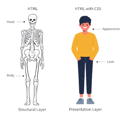 HTML + CSS