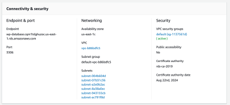 RDS Connectivity and Security