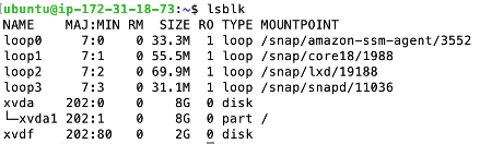 Amazon EBS List Block Devices