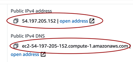 AWS EC2 IPs Domain name